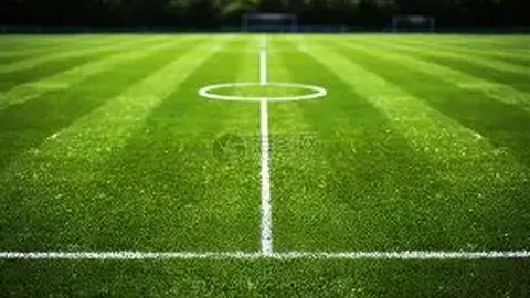 龙8国际 产品 090132 ml5