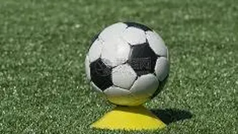 龙8国际 资讯 094421 ylk