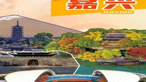 龙8国际 073721